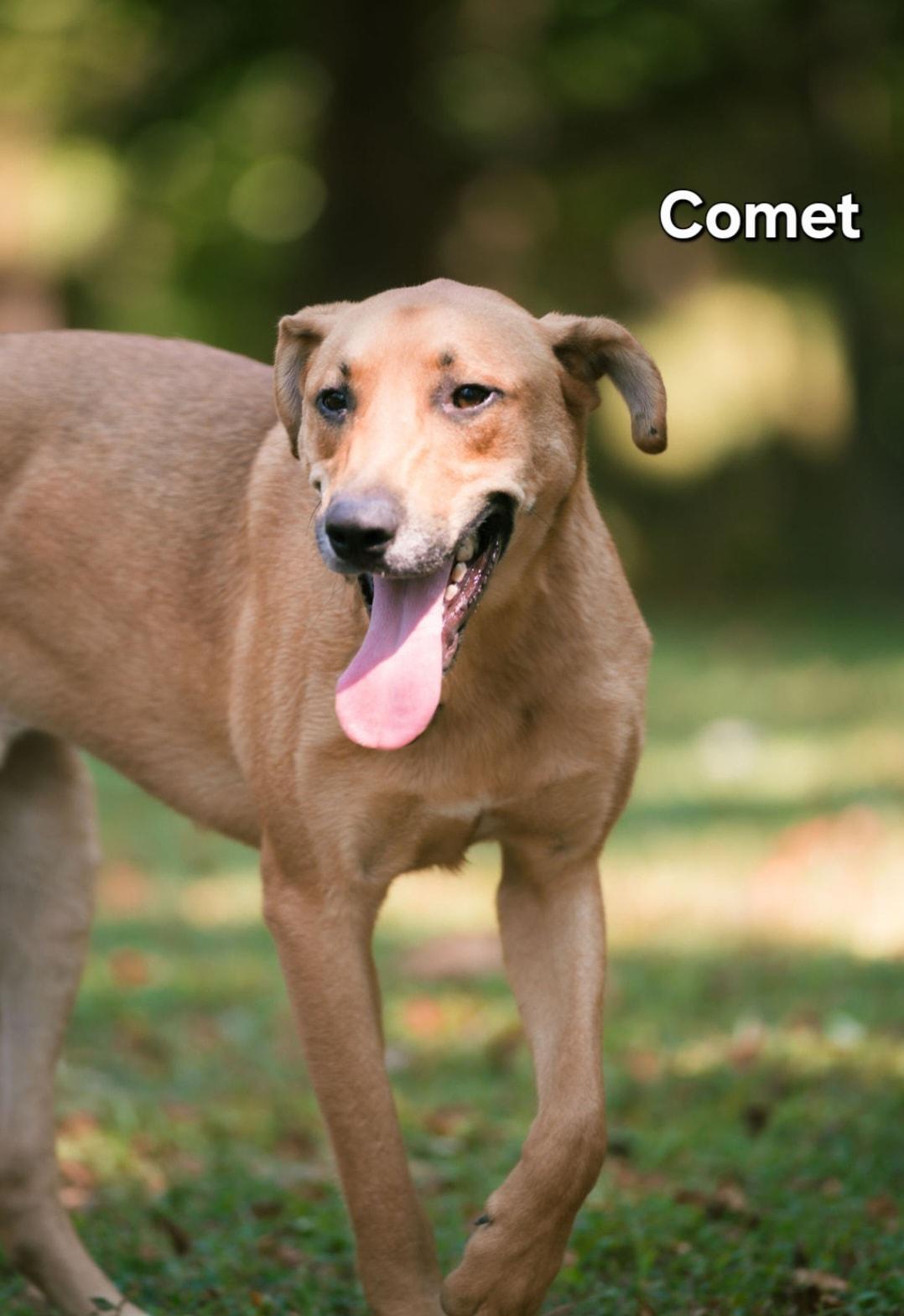 Comet