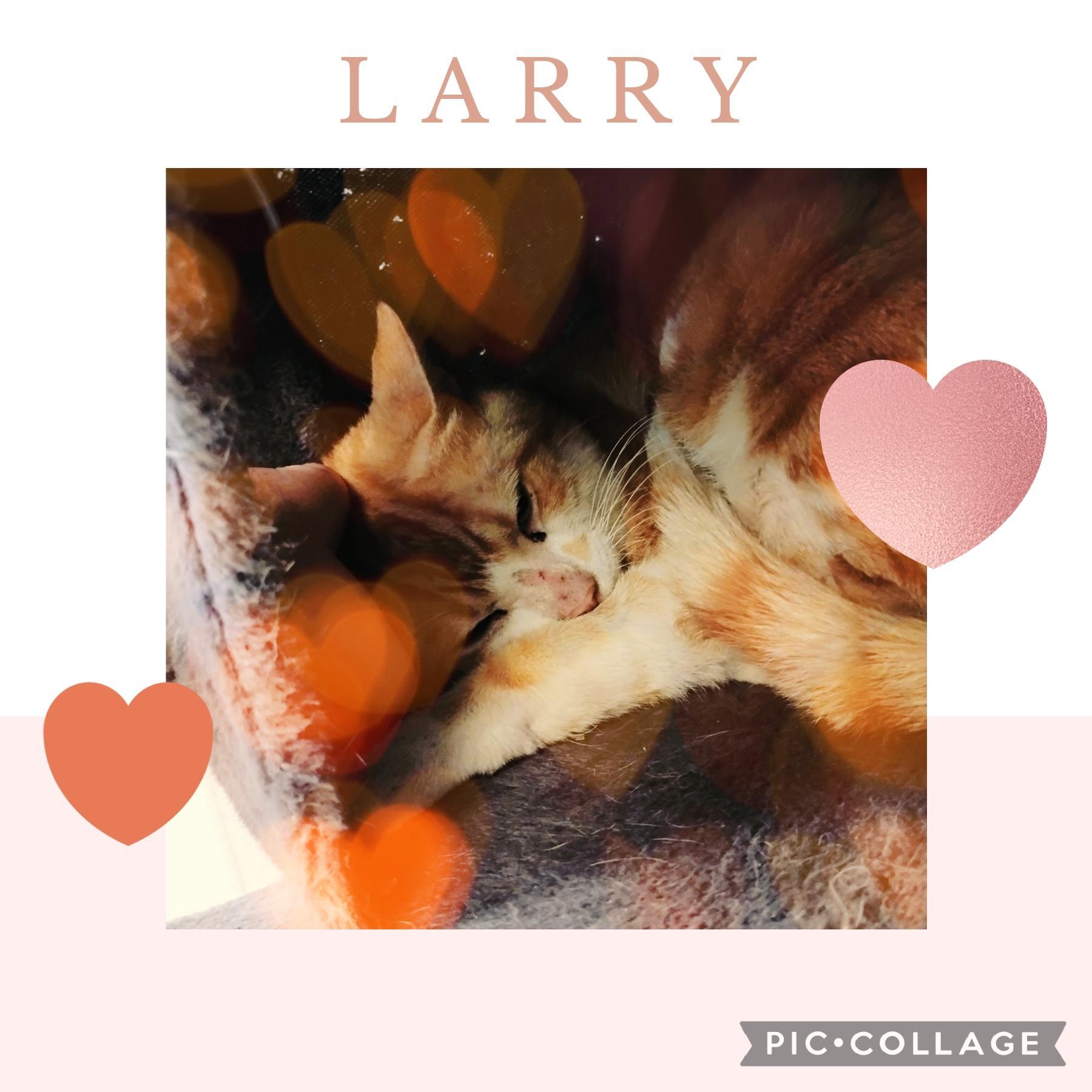 Larry