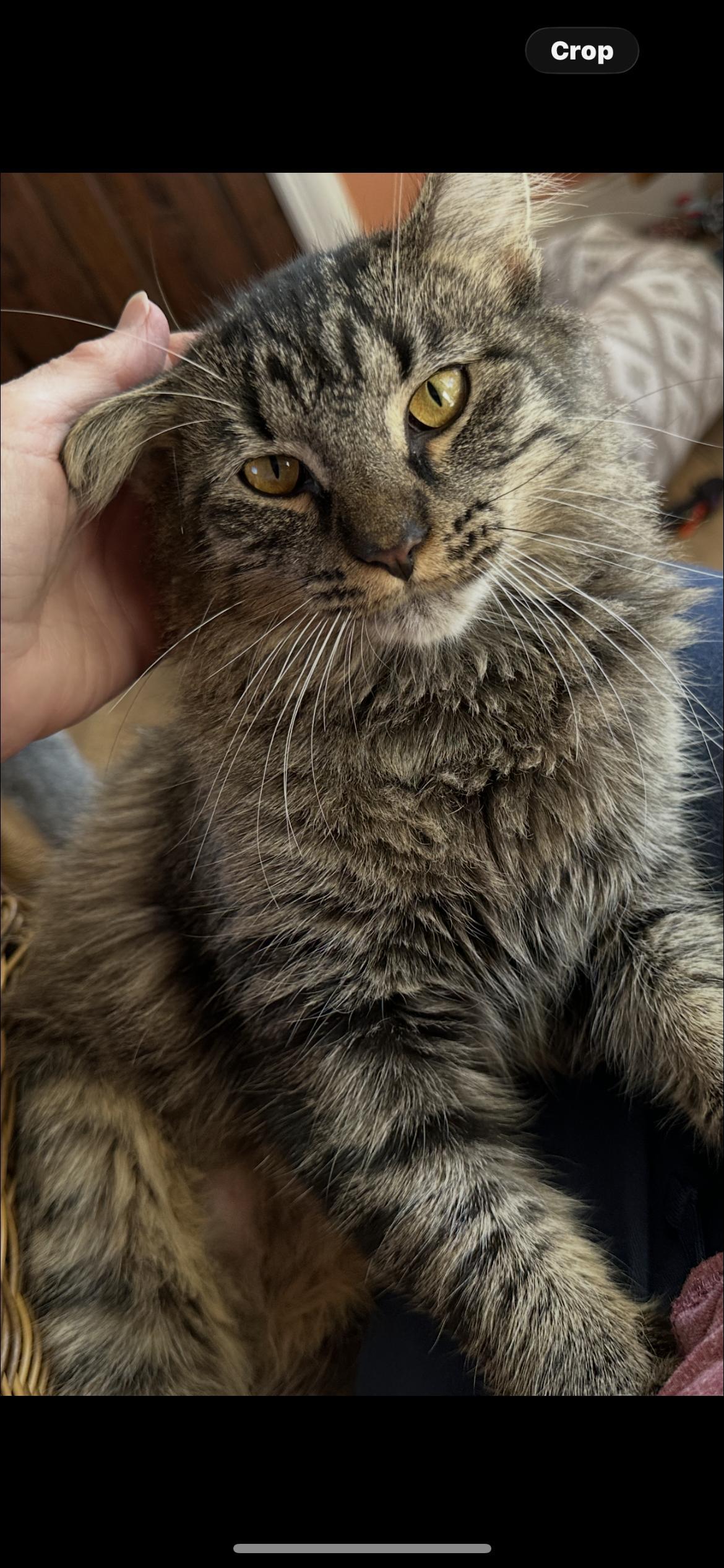 Natalie C Ingram photo 1