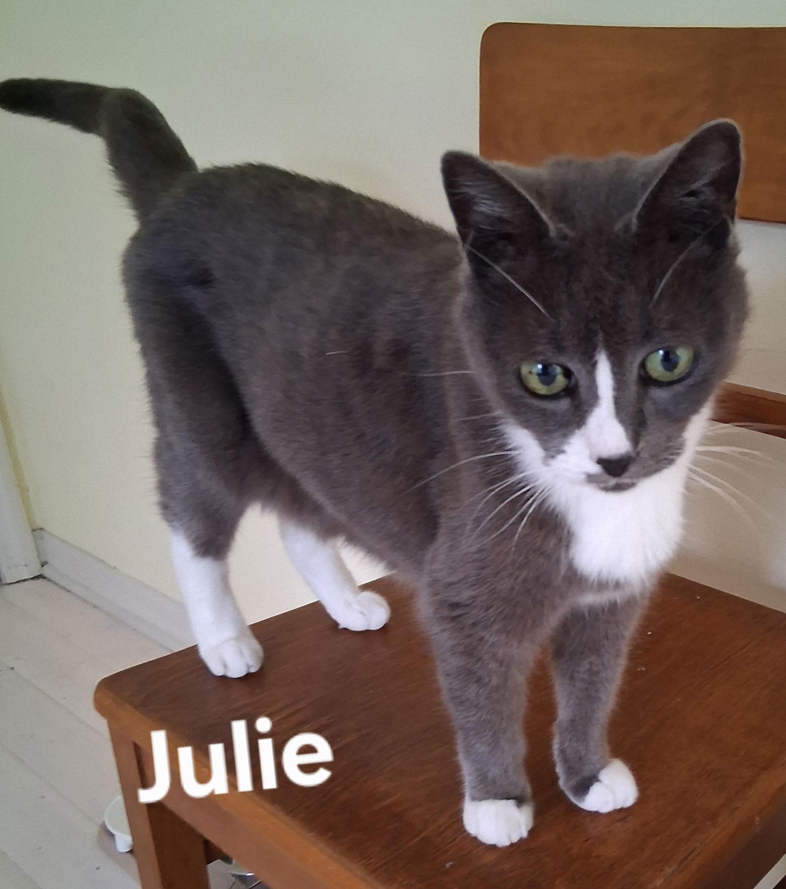 Julie