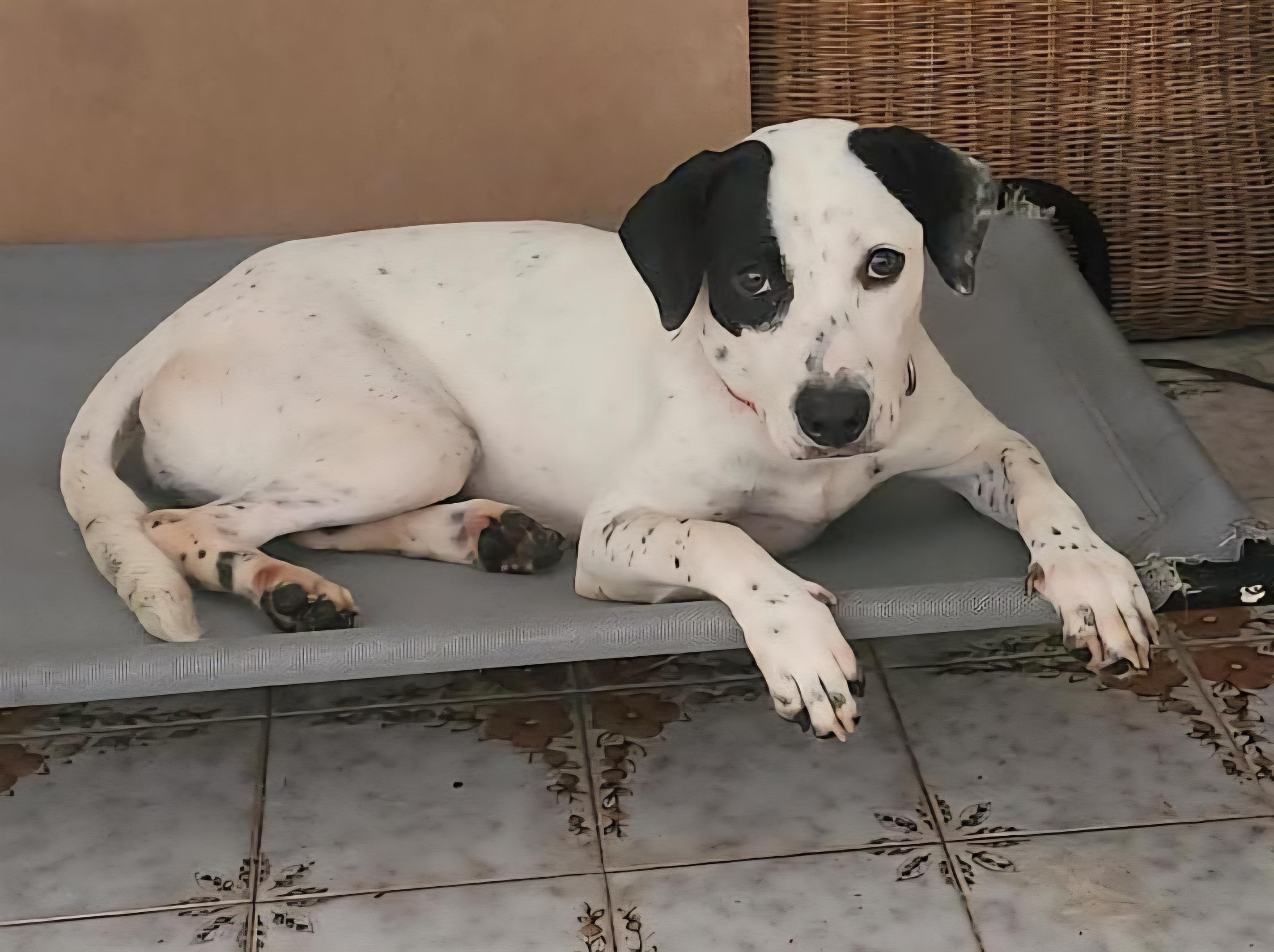 Kasi "your Loyal Bestie."