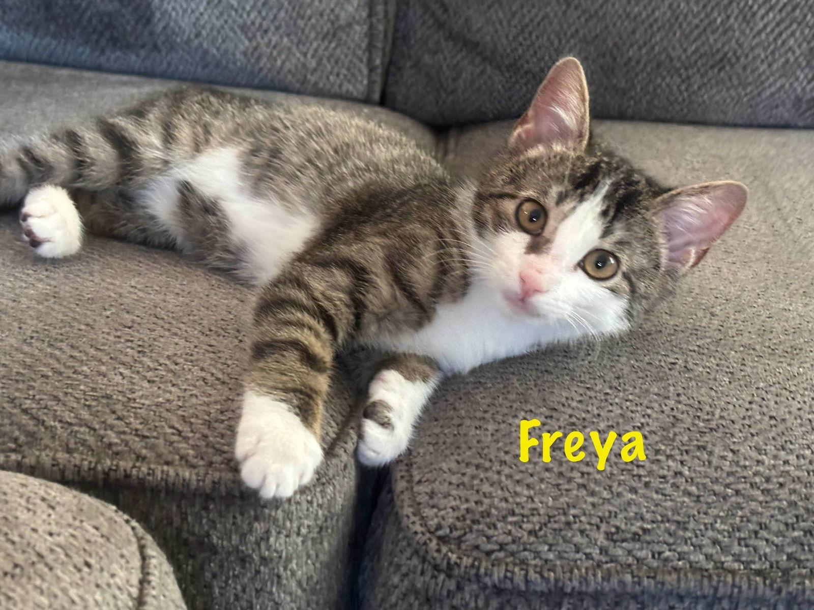 Freya