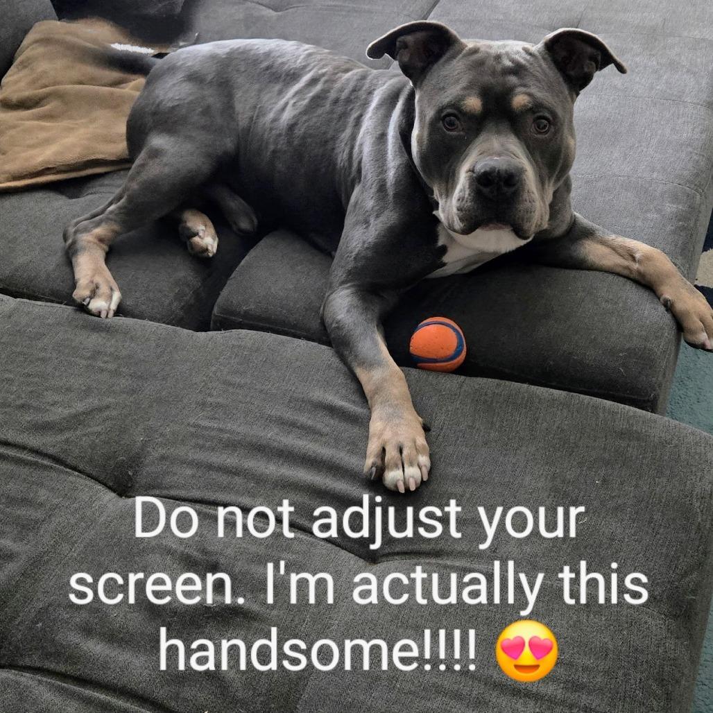 Professor Charles Xavier