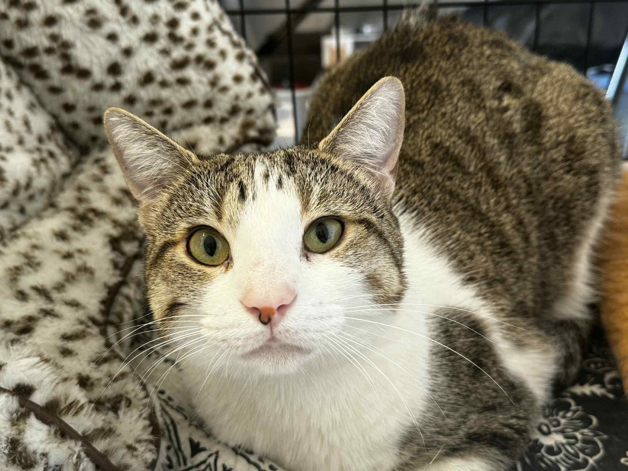 Rae And Star photo 1