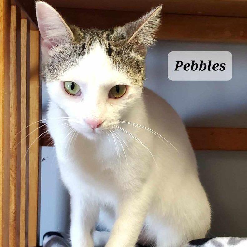 Pebbles