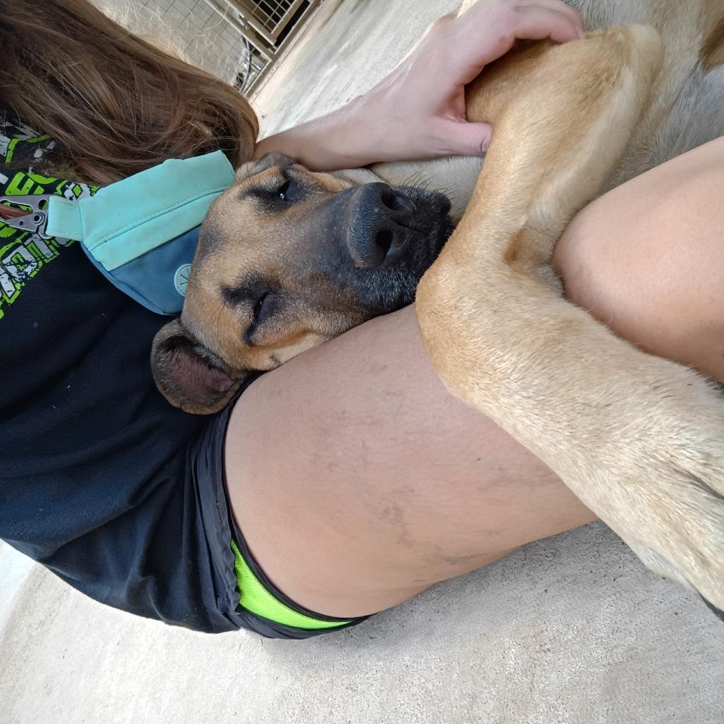 "c.j." Calamity Jane