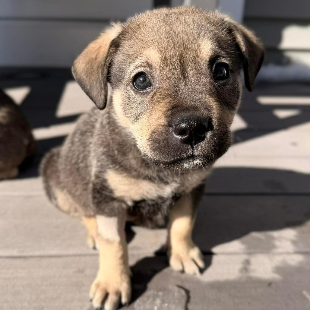 Ct Burnout Avail Feb