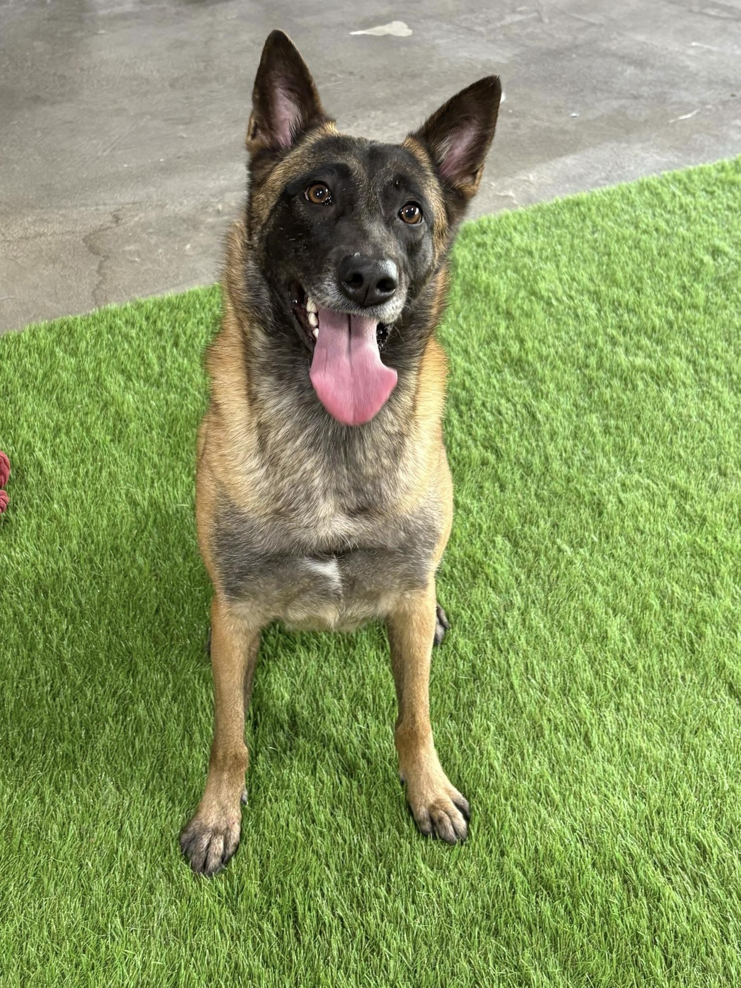 Kaya