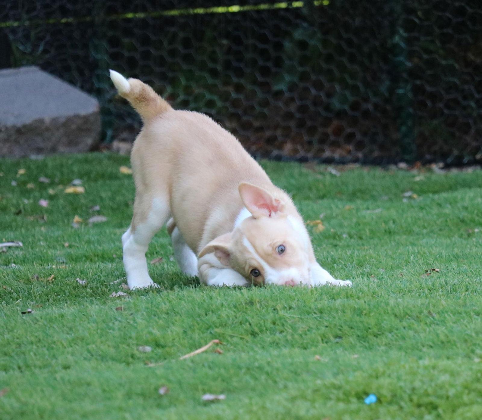 Hope Courtesy Listing