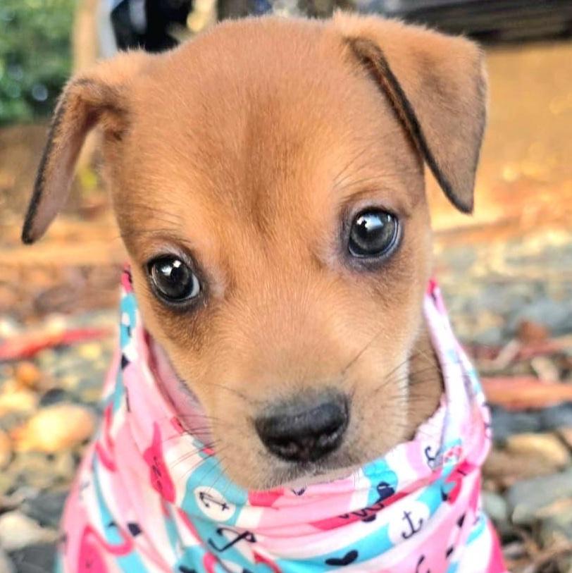 Enzo Matteo "you Found