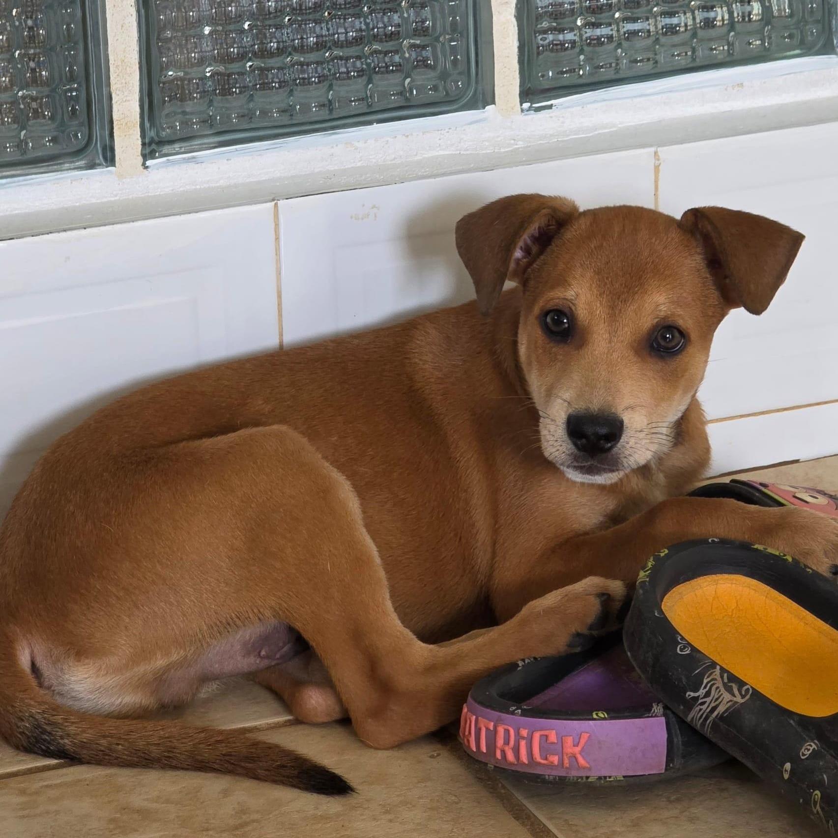 Enzo Matteo "you Found