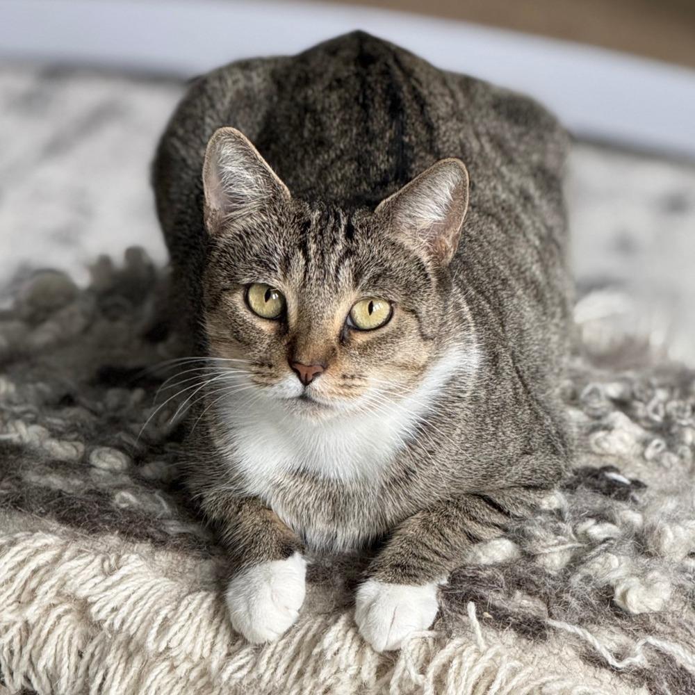 Bonnie With The Boots