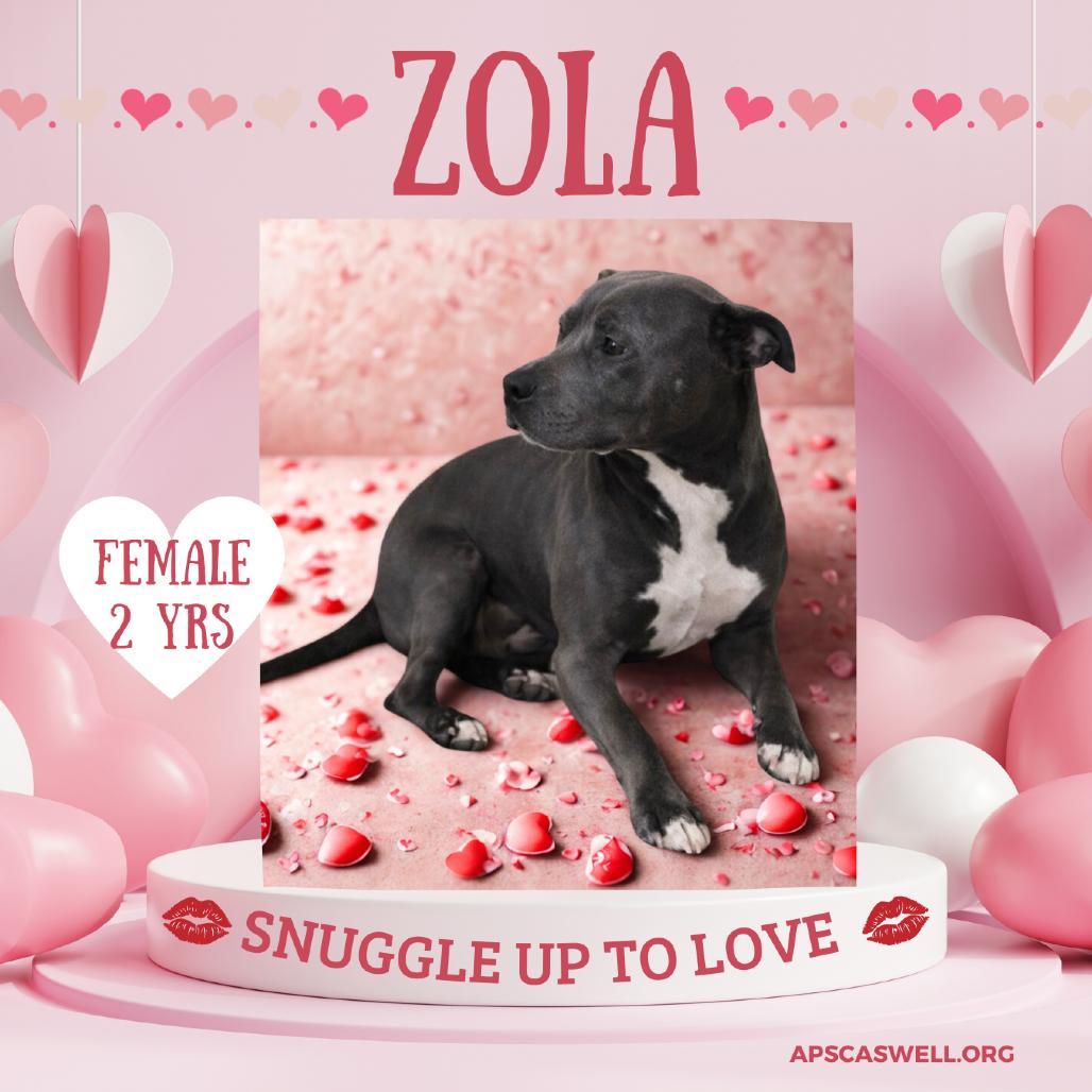 Zola