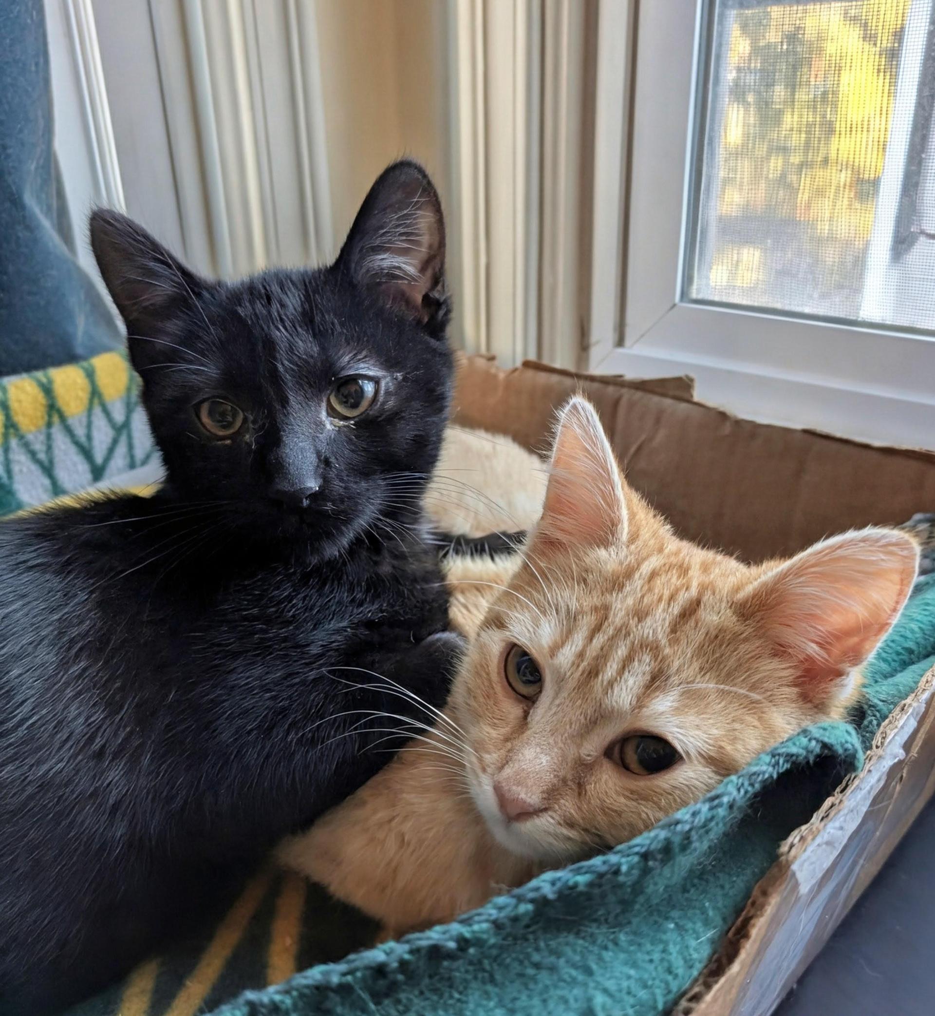 Mayor Mike And Esai photo 1