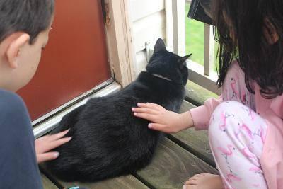 Tankichi R Beautiful