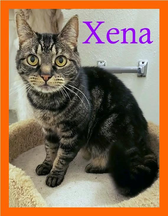 Xena