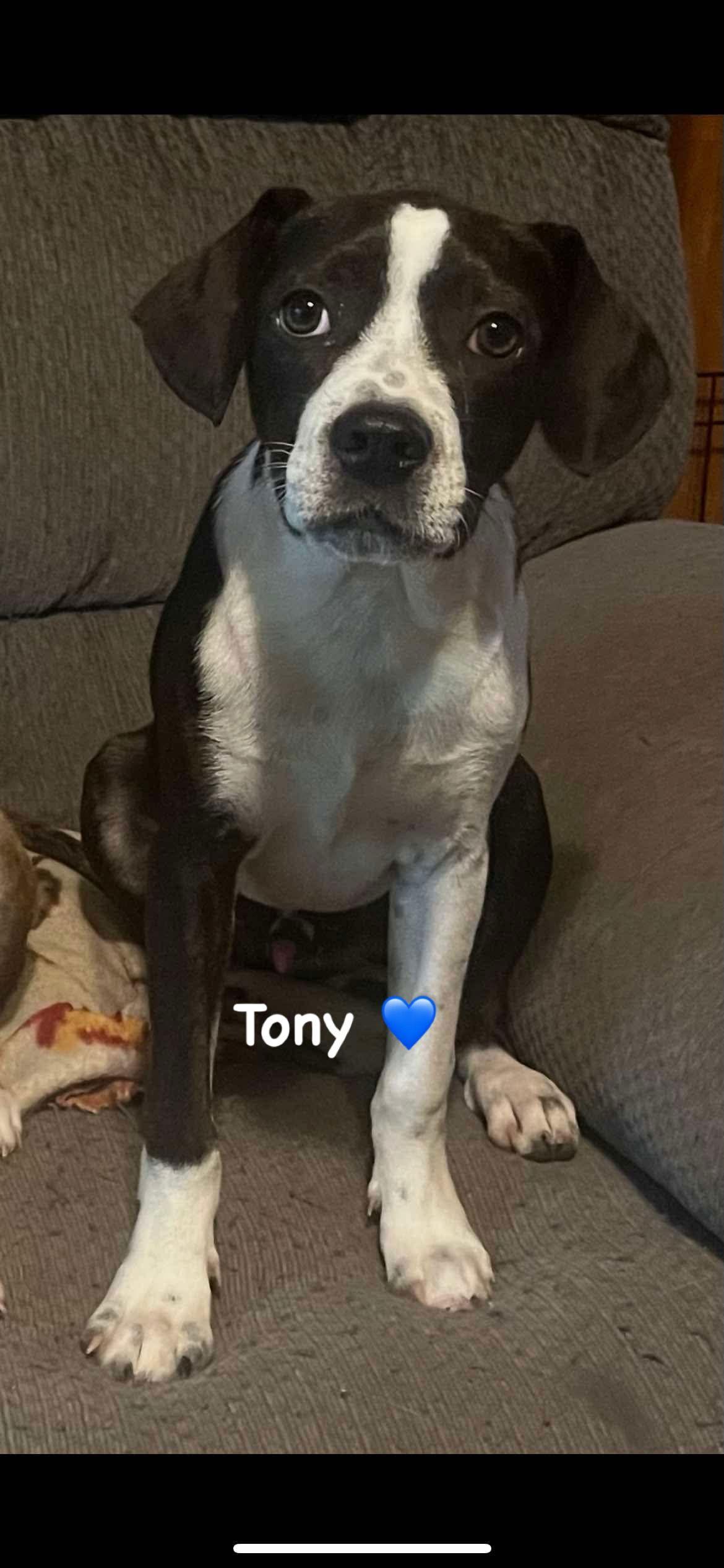 Tony