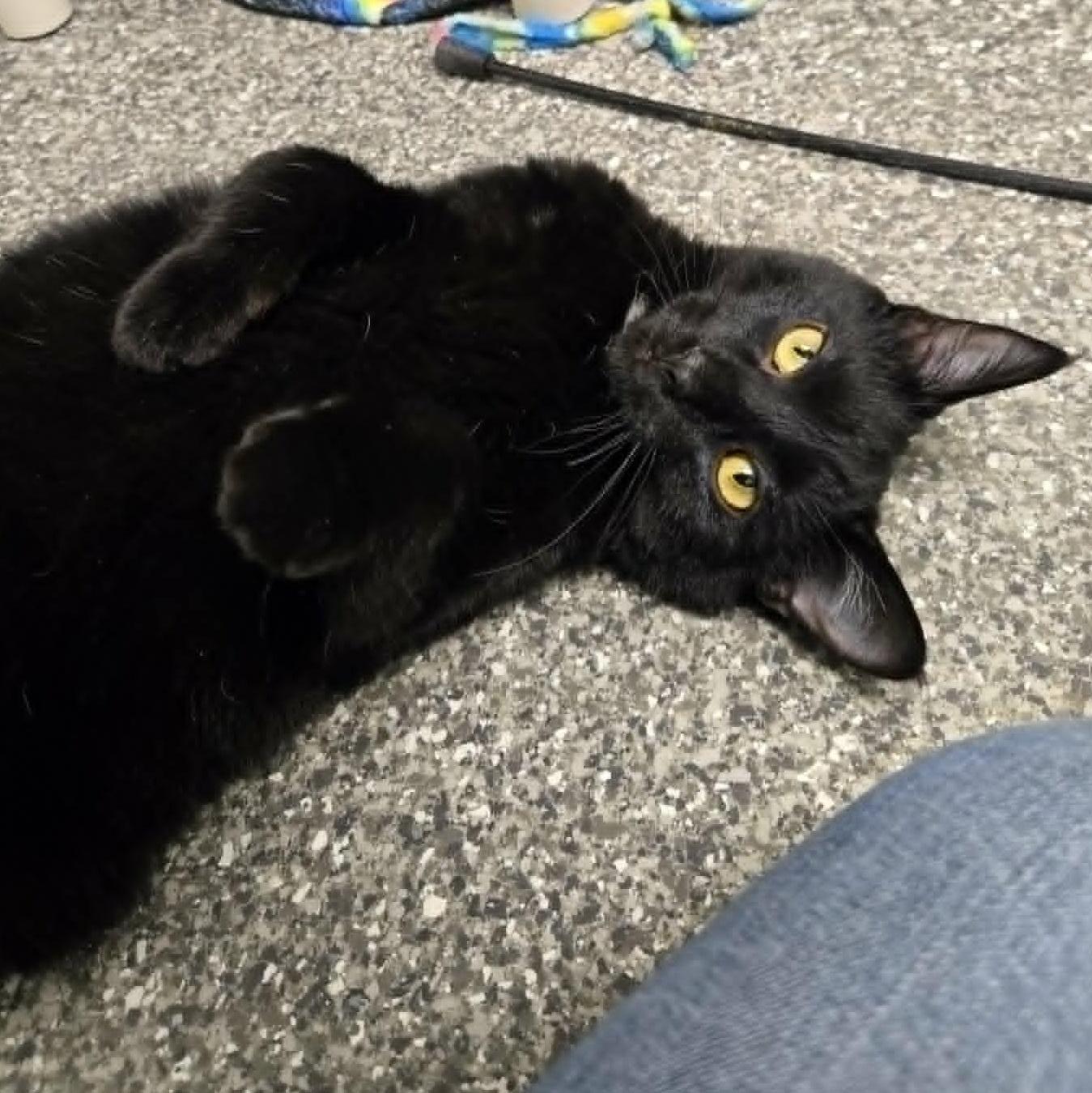 Patrick With Lleyton