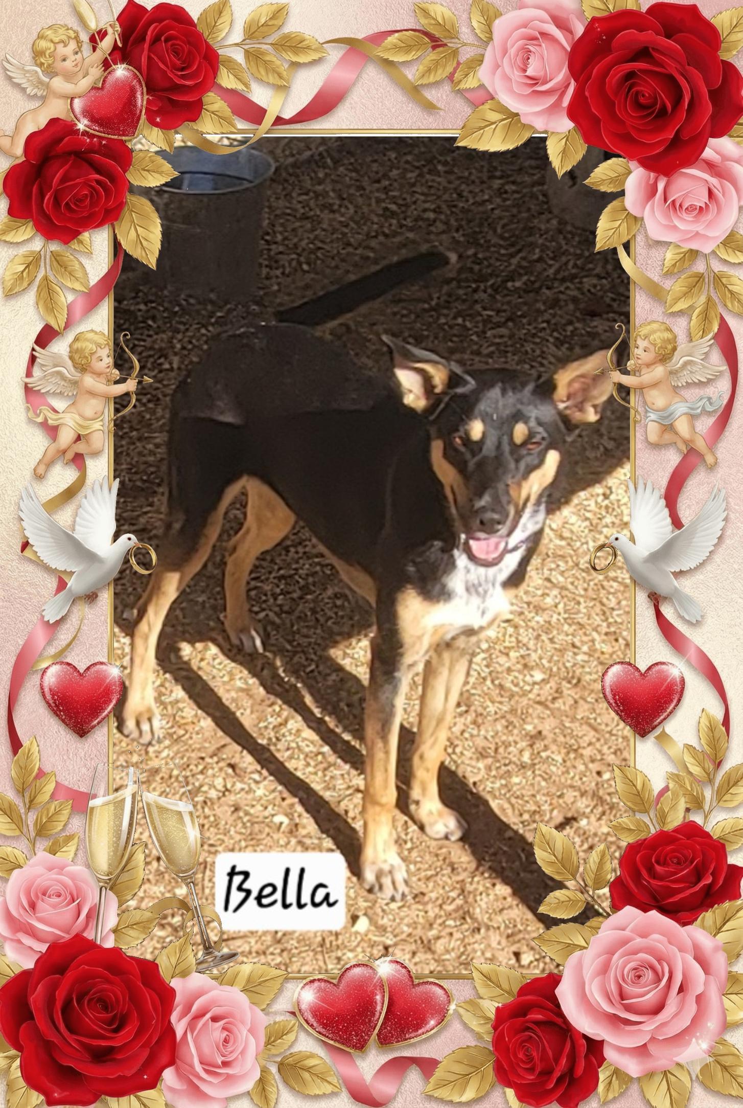 Bella