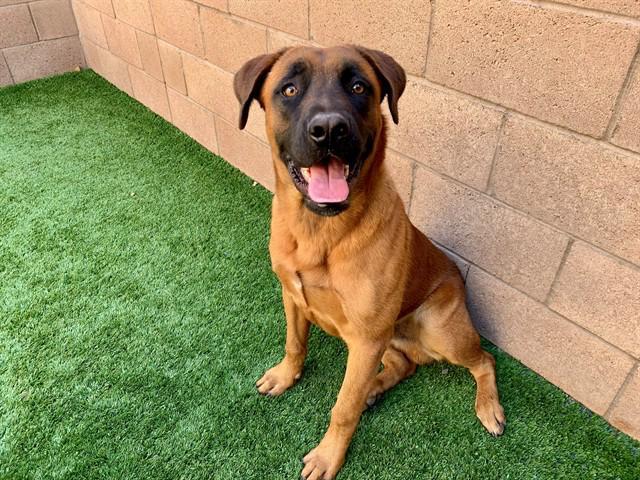 Urgent! Save Me Please!