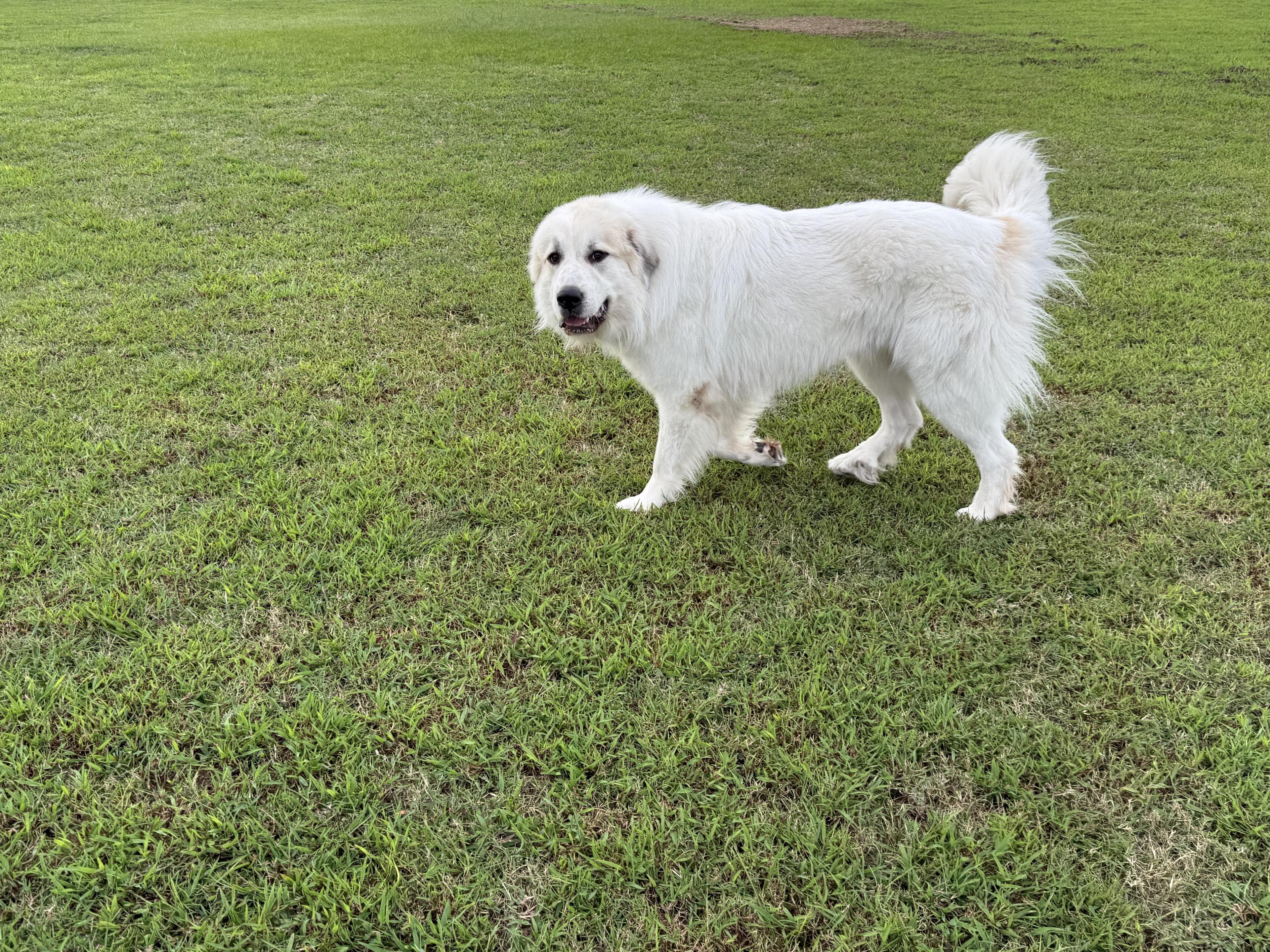 Courtesy Listing Argus