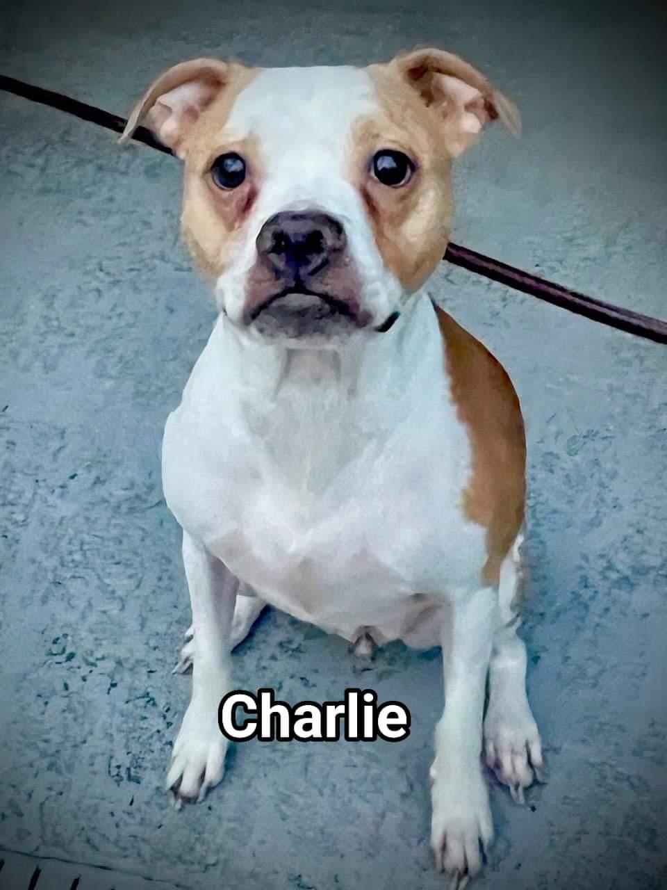 Charlie