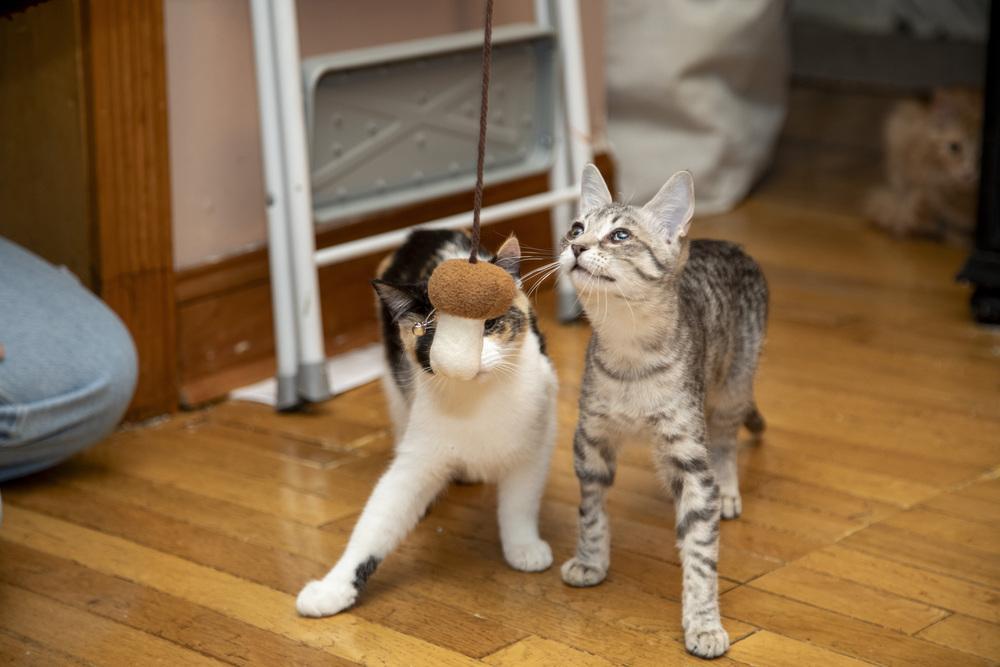 Alicia Keys & Beyoncé