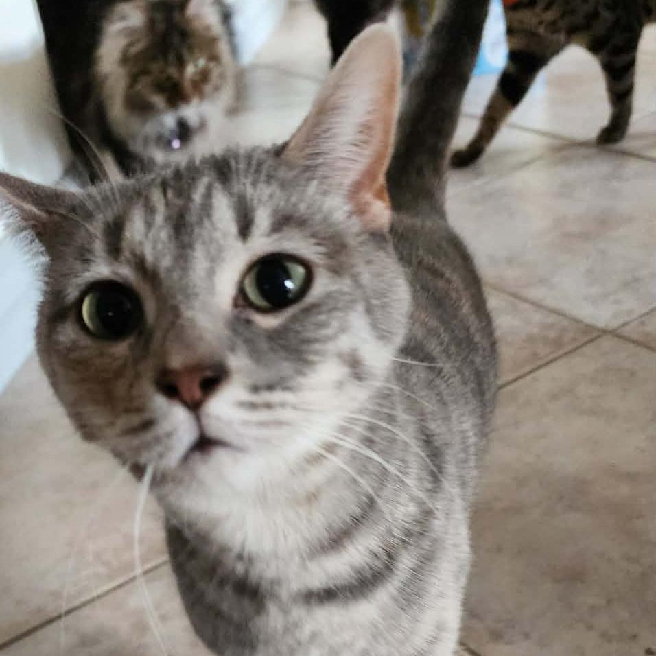 Little Missy Rickard photo 1