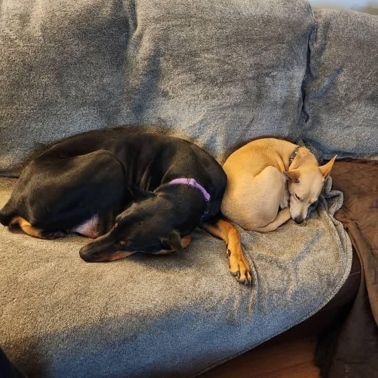 Marilyn Monroe photo 1