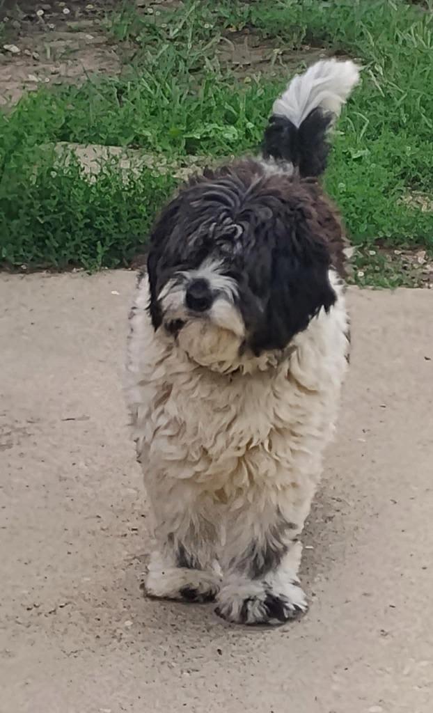 Martha Harlan photo 1