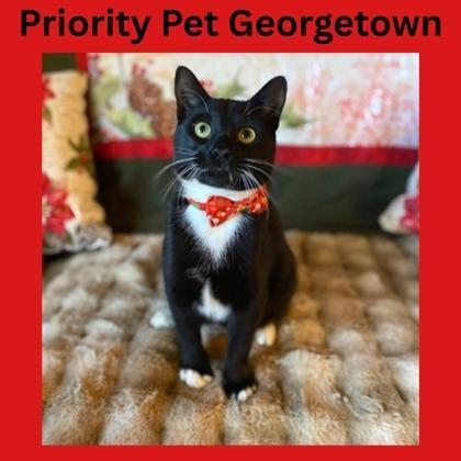 Georgetown `a Priority