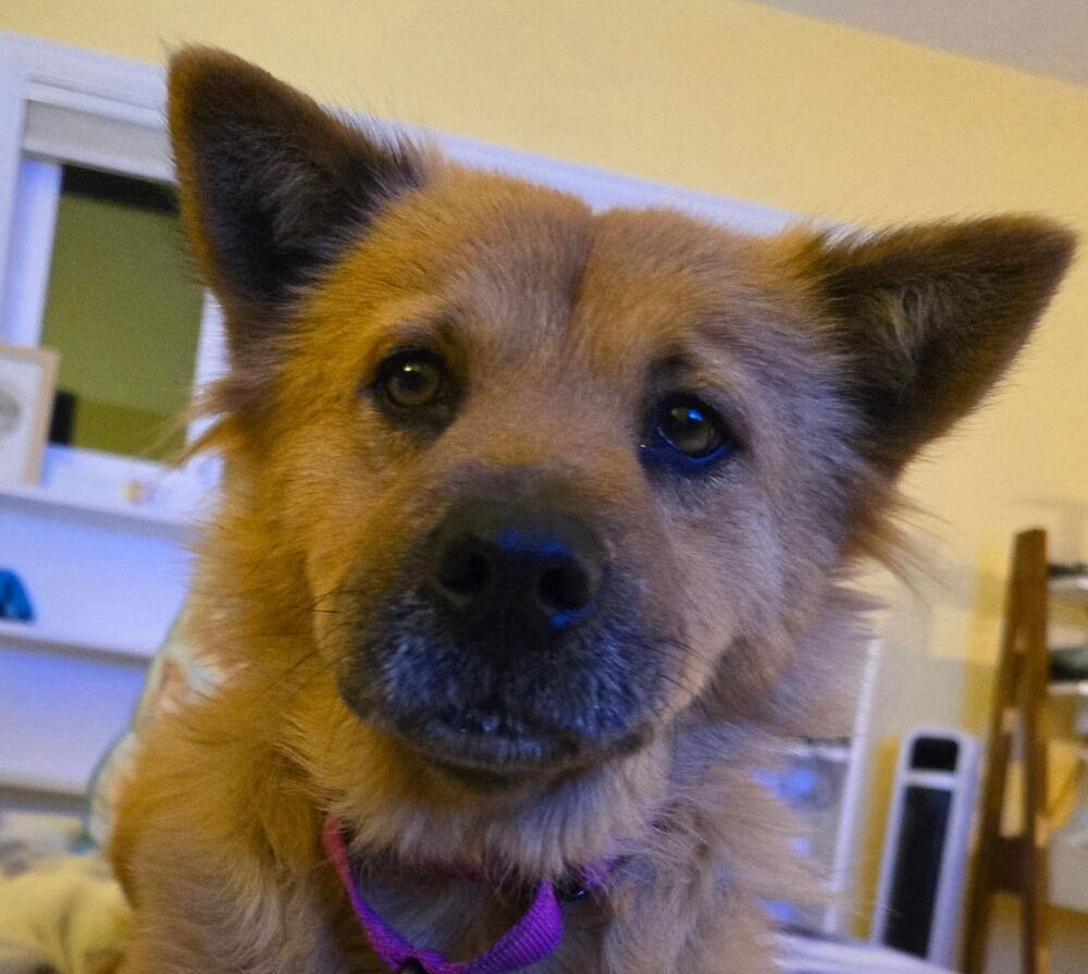 Ellen Griswold From Wortham