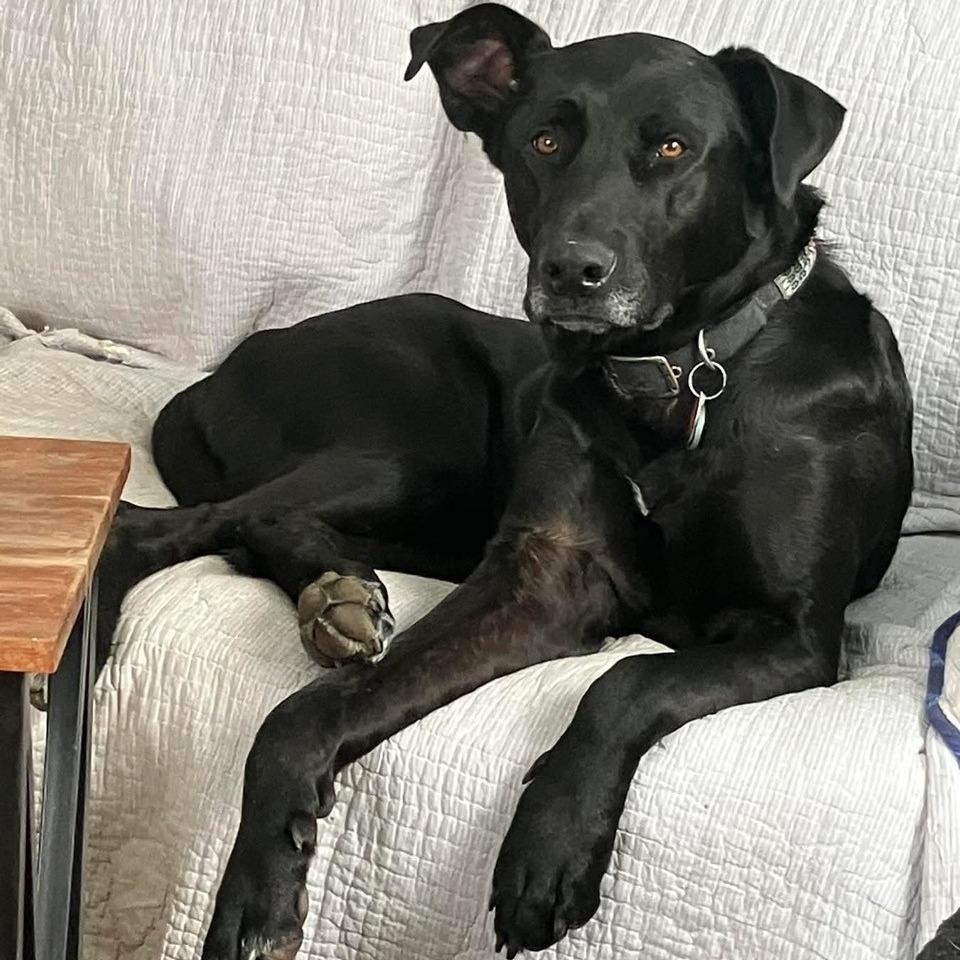 Better Than Burt Reynolds