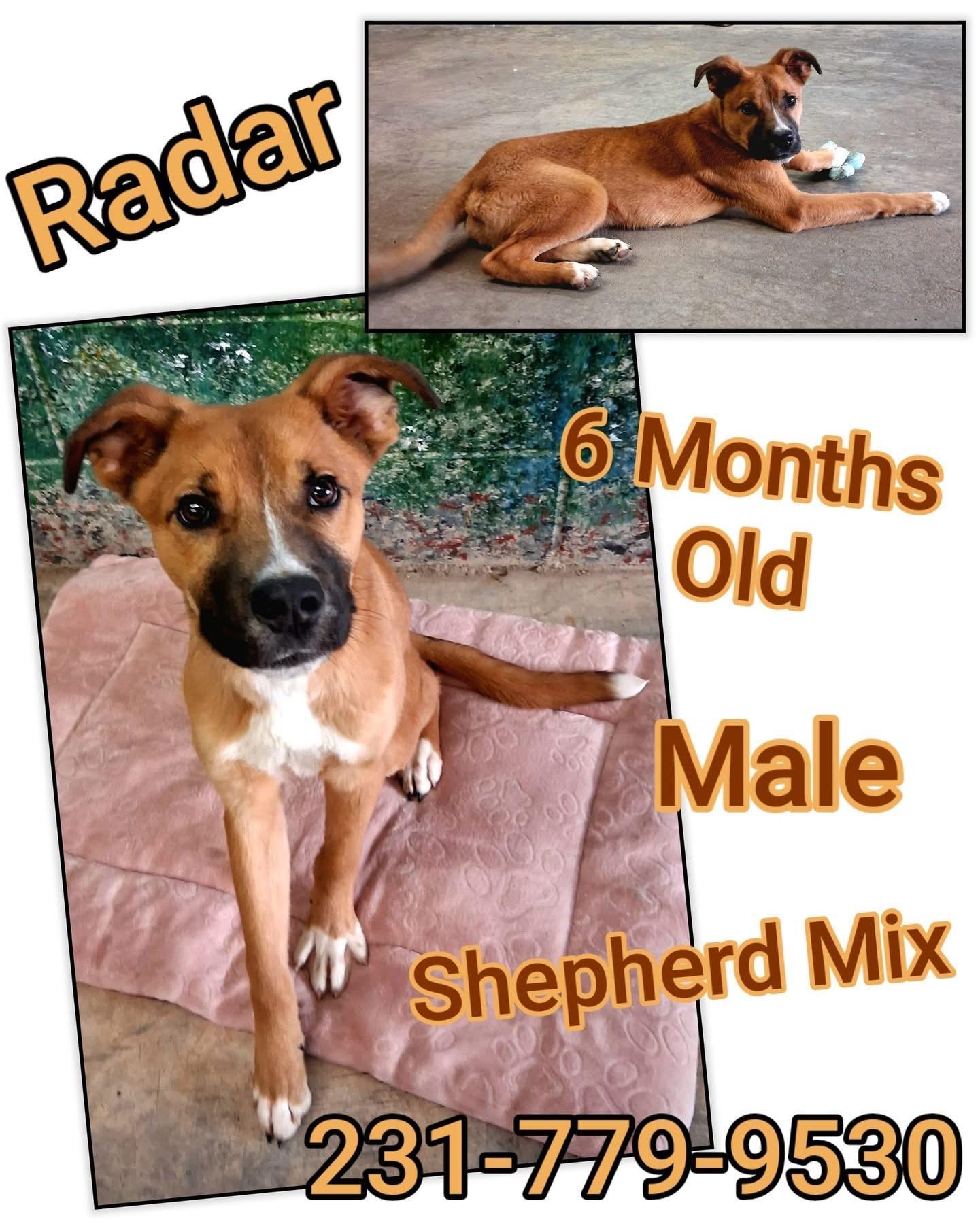 Radar
