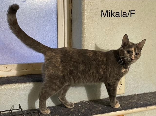 Mikala