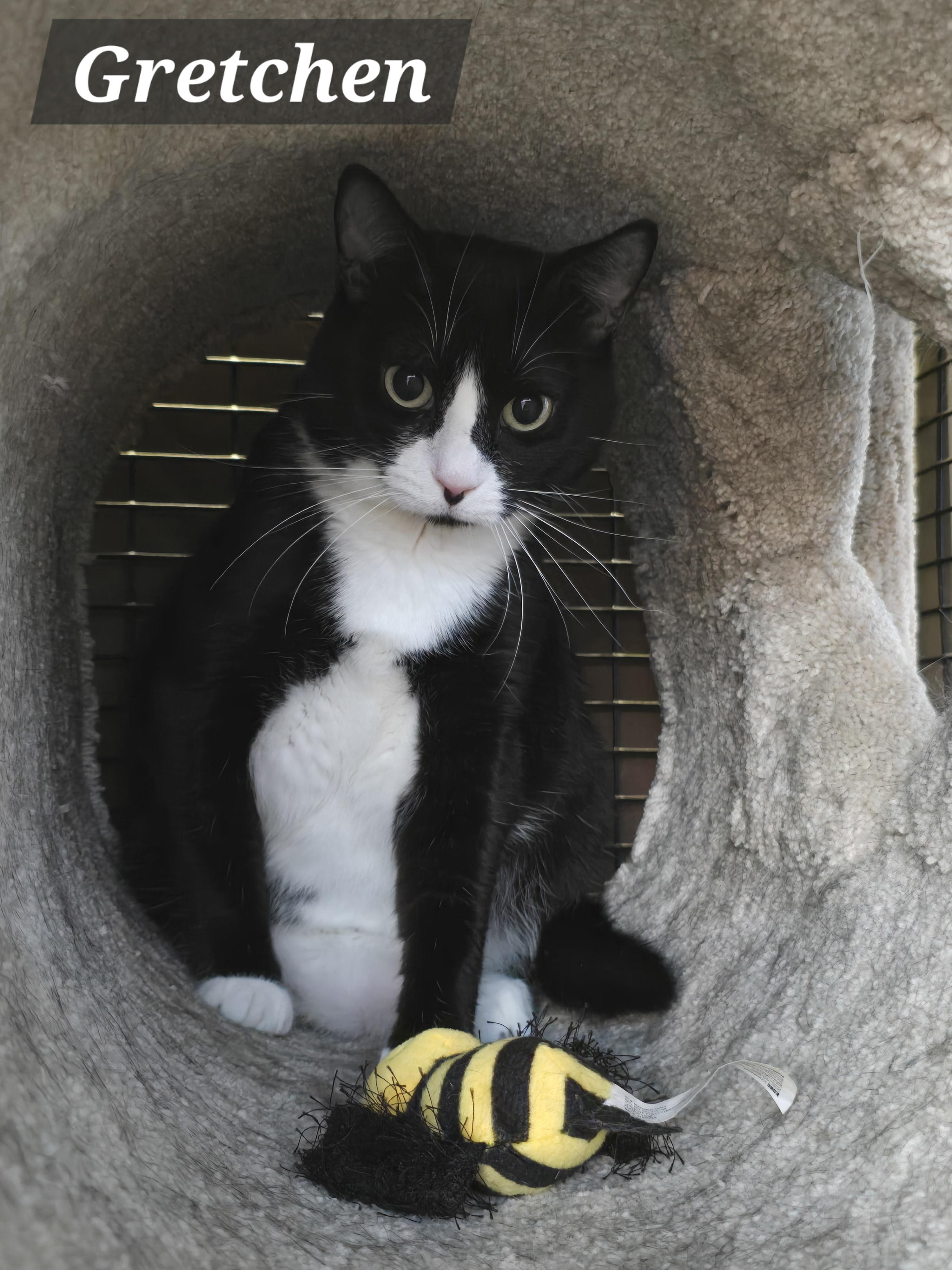 Mama Gretchen Griffin