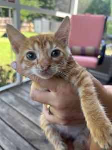 Bradley Cooper photo 1