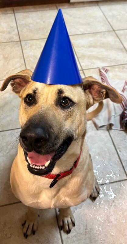 Brownie Butters The Bestest