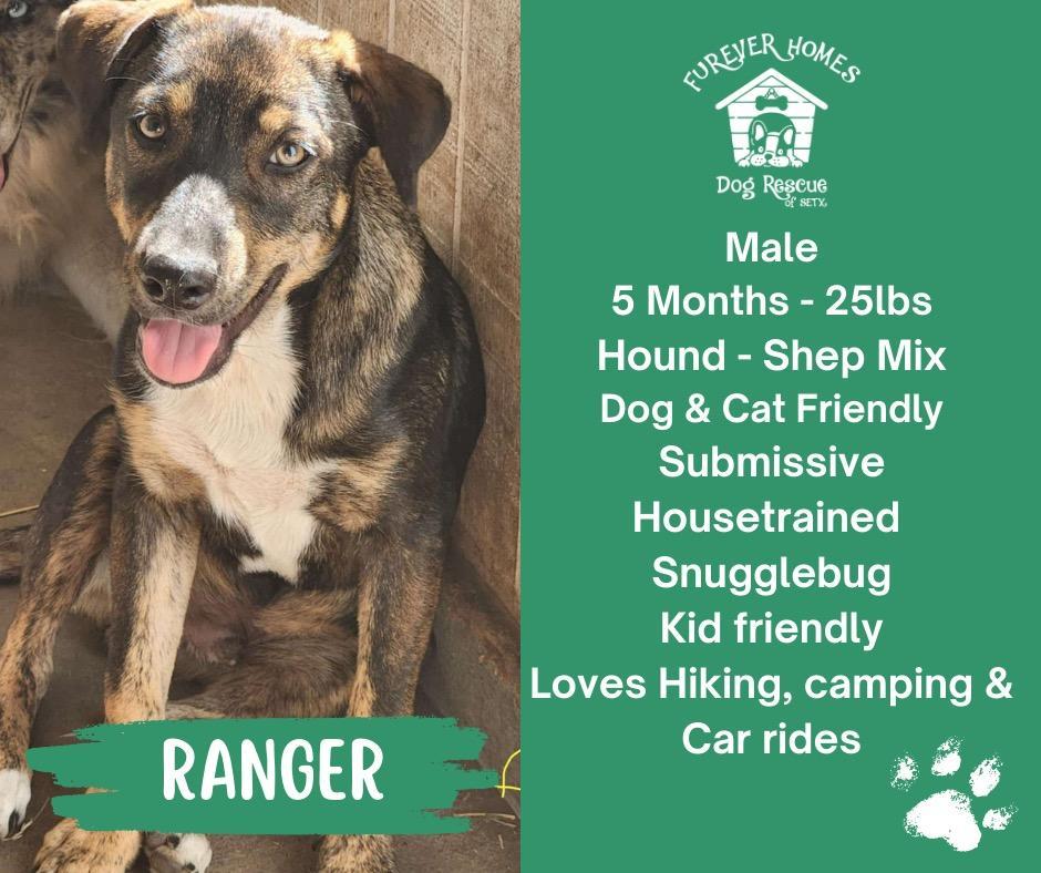 Ranger
