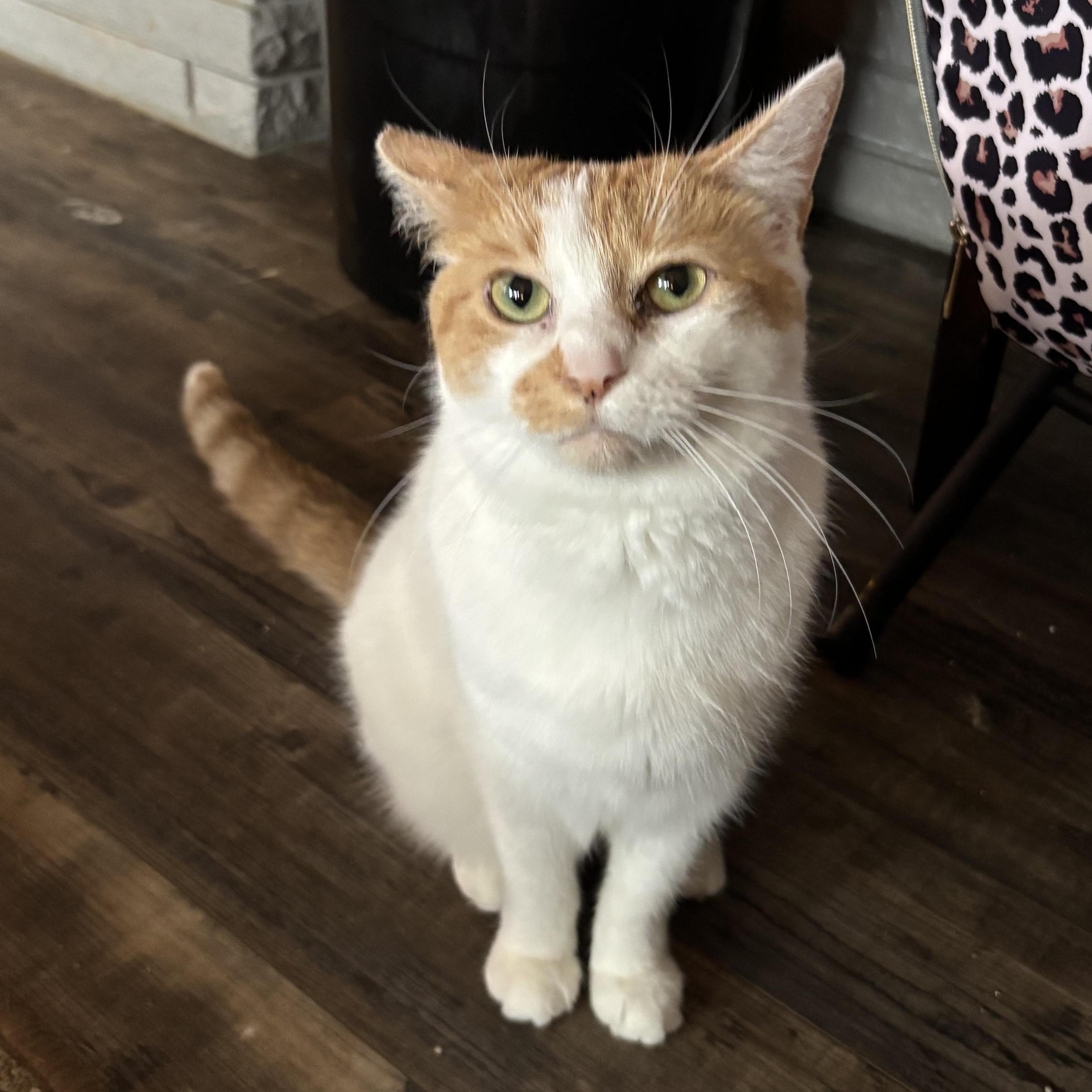 Autumn & Winter photo 1