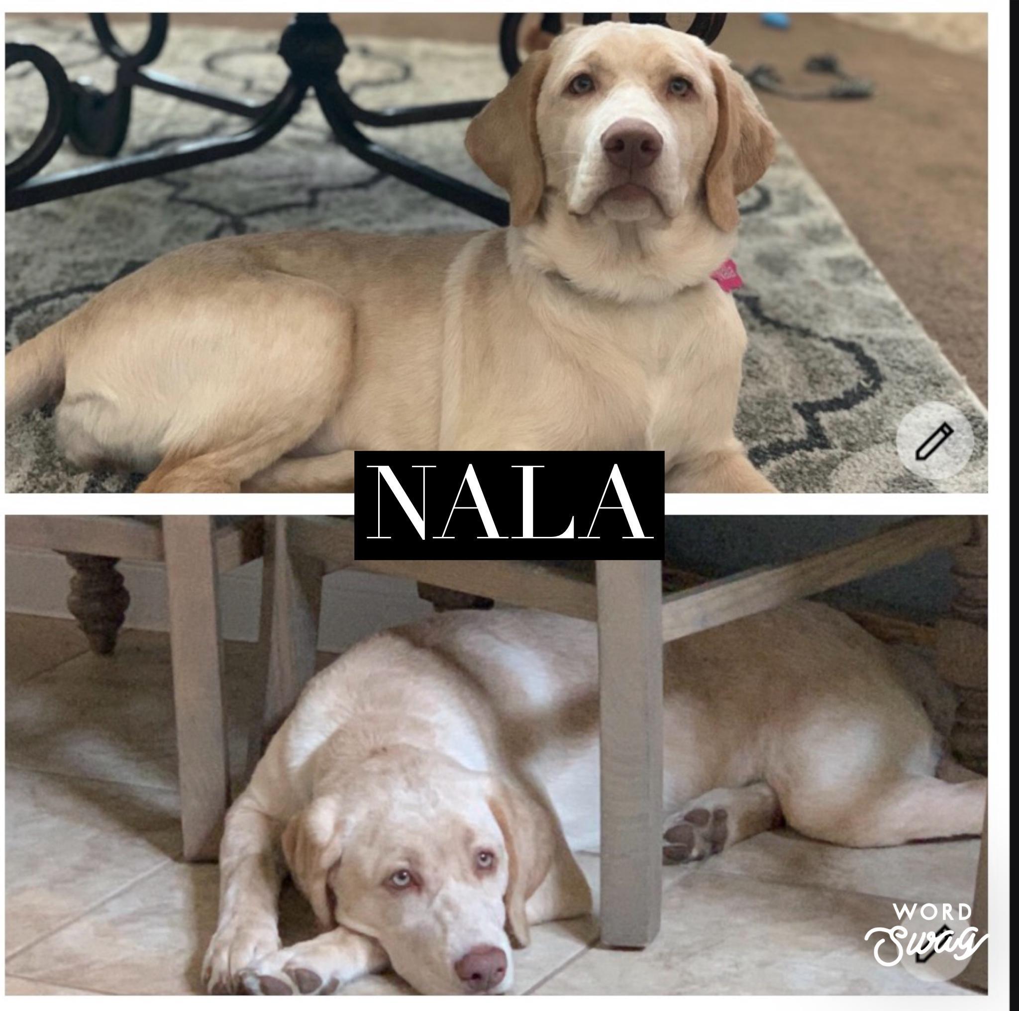 Nala