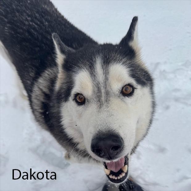 Dakota