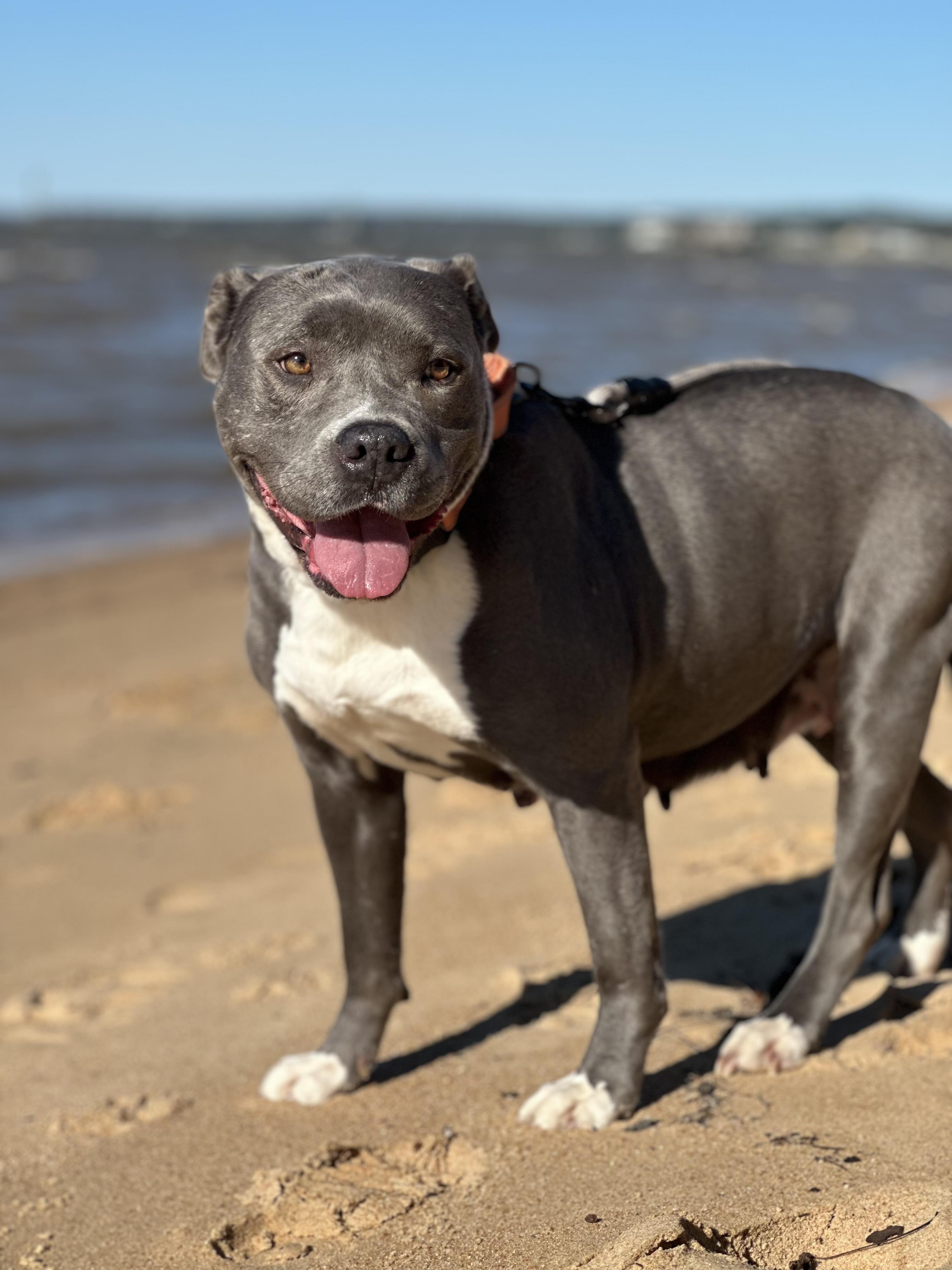 Sara….. Yo Who Needs