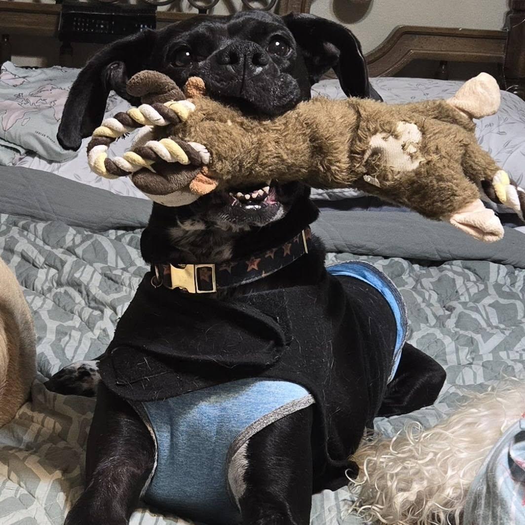 Rei! Vibrant Amazing Girl!