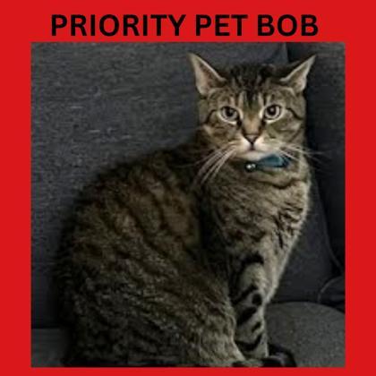 Bob `a Priority