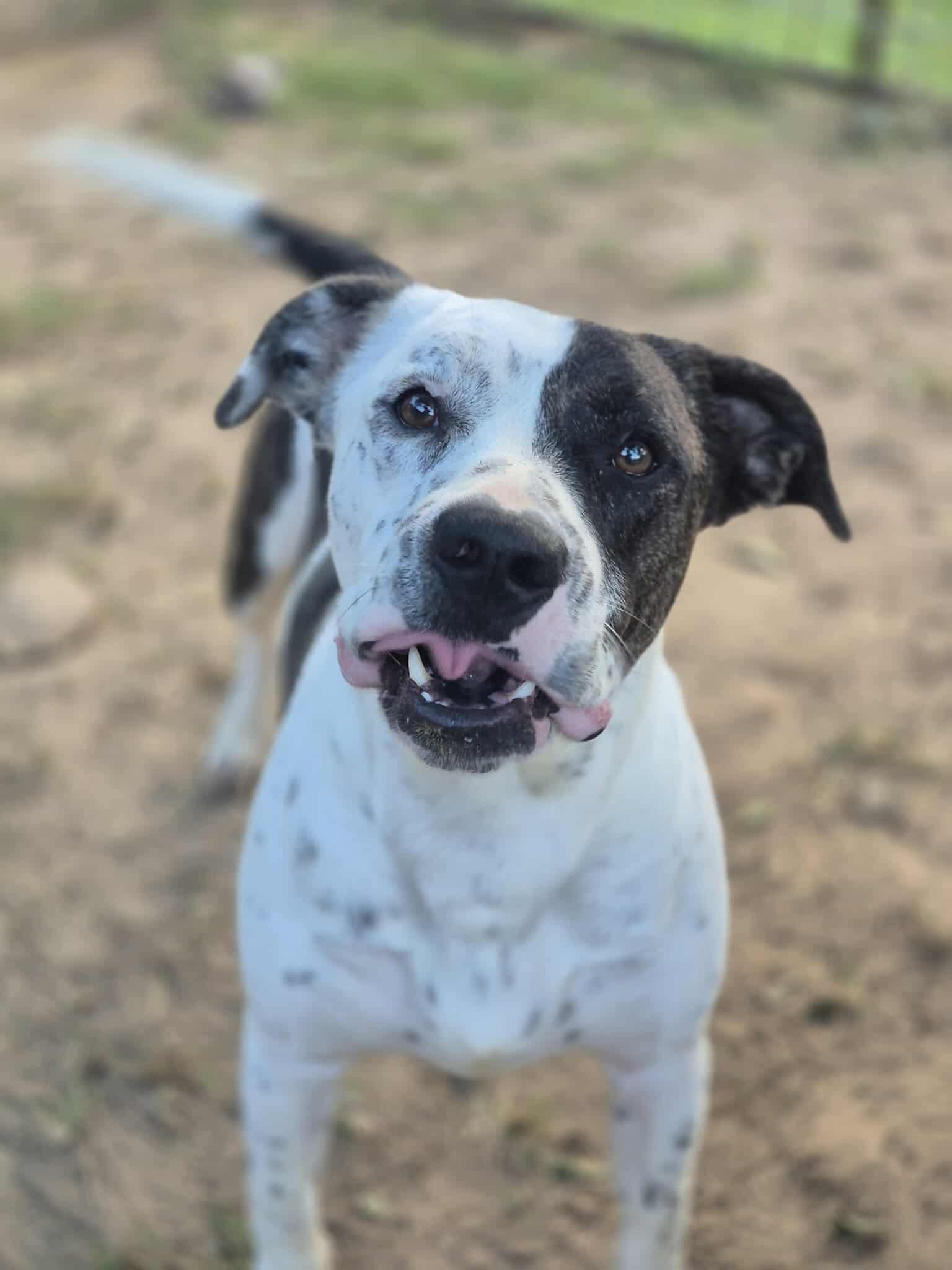 Peter Parker photo 1