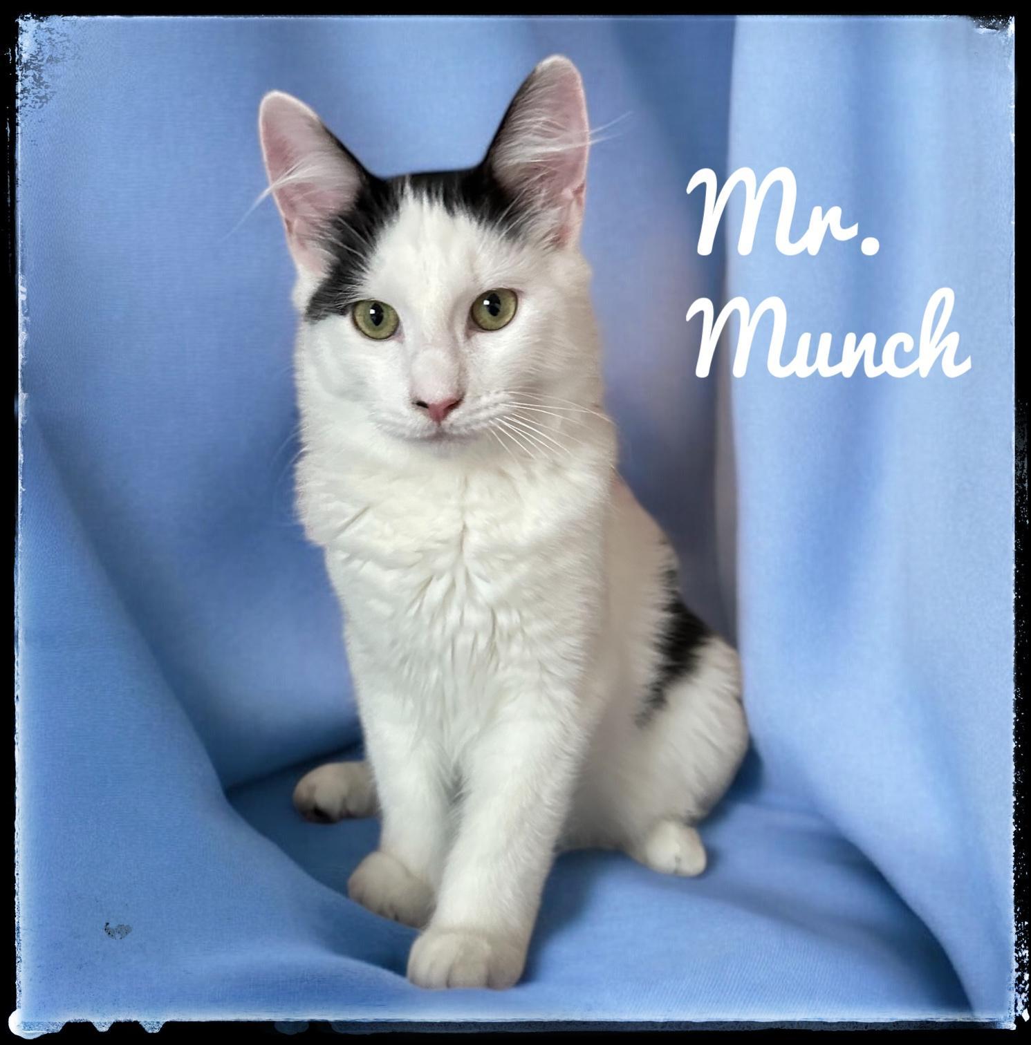 Mr. Munch