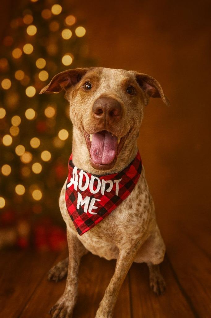 Sammie Boy Local photo 1