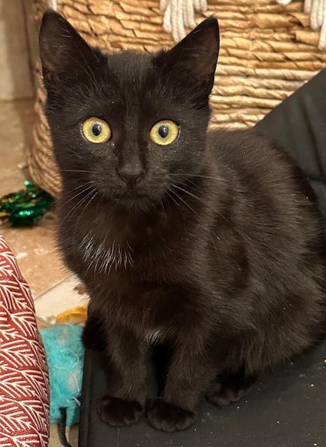 Dorrie And Wednesday