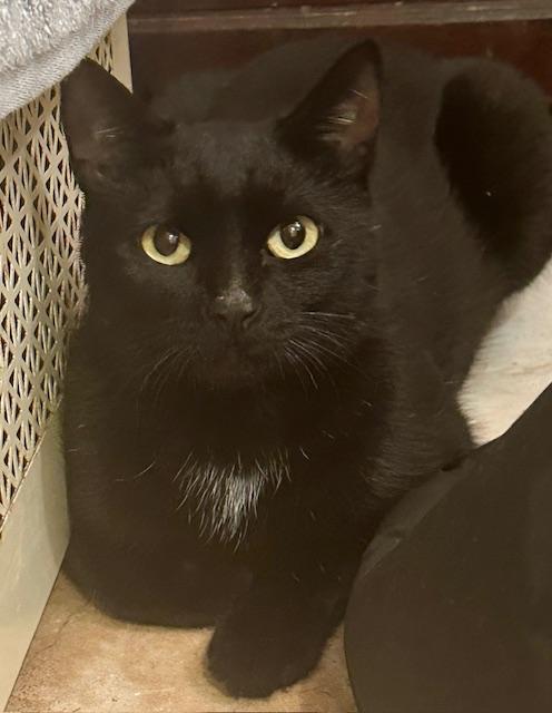 Dorrie And Wednesday